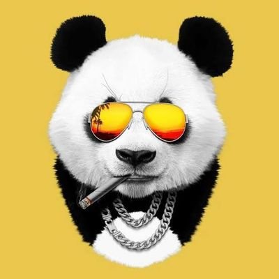 🚀 Crypto Analyst | 📊 Decoding market trends & patterns | 💡 Turning complex charts into actionable insights | Join me for market updates, memes, & gains! 🐼💎