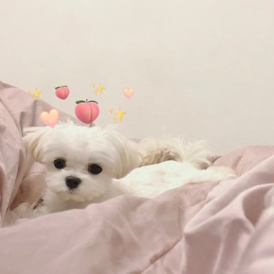 Nnnn987000's profile picture. 