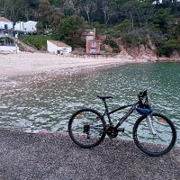 miramicuenta (@miramicuen20520) 's Twitter Profile