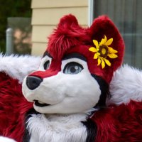 Knoxx ๐ FWA (@knoxx1616) 's Twitter Profile Photo Knoxx ๐ FWA (@knoxx1616) 's Twitter Profile Photo