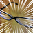 ys419's profile image
