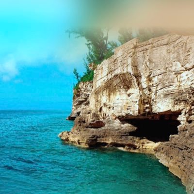 qingcai003's profile picture. 