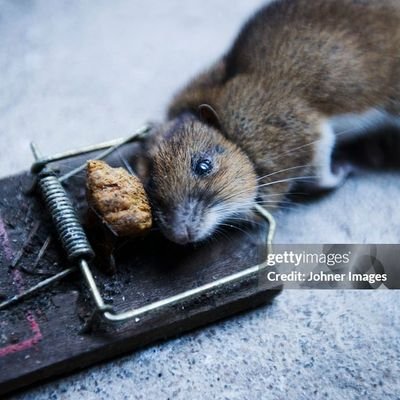 pedophileandrew's profile picture. wat ar u doing using this platform gtfo . the final reincarnation XD #theeraofhate XD wtf . everyone dead run :O . twitter  shutdown . leave . i win . :O :( x.x