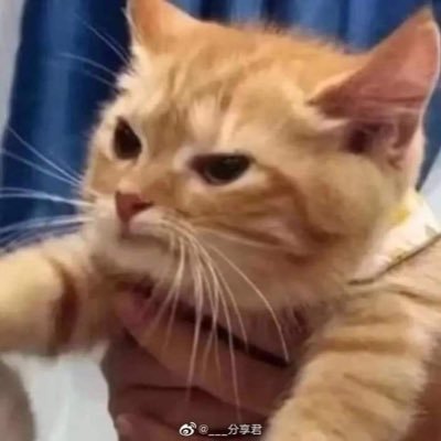 daayeem's profile picture. chasing sunsets with you…