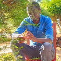 Kipp Flaneur (@kipp_prop) 's Twitter Profile
