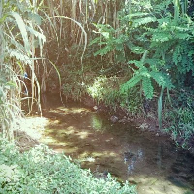 wotekesho's profile picture. 