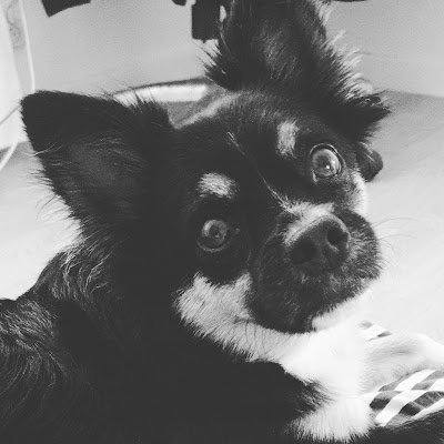 chikaharu2597's profile picture. 