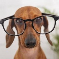 Imnot_Dogno 📚 (@imnot_dogno) 's Twitter Profile Photo Imnot_Dogno 📚 (@imnot_dogno) 's Twitter Profile Photo