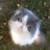 Lottie ,Luna & Lynn 🎅🧑🎄🤶 (@lynnsterlyn) Twitter profile photo Lottie ,Luna & Lynn 🎅🧑🎄🤶 (@lynnsterlyn) Twitter profile photo