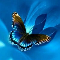 🦋 𝐑 ü 𝐳 𝐠 𝐚 𝐫 🦋(@2Rzgr) 's Twitter Profile Photo