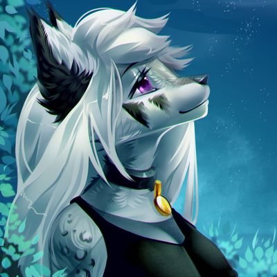 heyy Ayla 
Heya 'Mexi' Here 
*COM-OPEN*
 *Love to make furry friends 🐾* 
 *| 21 | 🐺* 
 *Furry warrior 🐾* 
 *No hate 3 ✨* 
 *DM'S Open 🌟