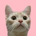 ミネルヴァ🌸🐈🌸🐰📱はい、NFFサービスです🌸ホットミルク教🍼🐈 (@minerva5110) Twitter profile photo ミネルヴァ🌸🐈🌸🐰📱はい、NFFサービスです🌸ホットミルク教🍼🐈 (@minerva5110) Twitter profile photo