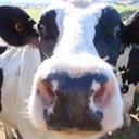 Laverne Phillips - @PhillipsLaverne - Twitter