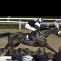 Calum hogan (@calumhogan4) 's Twitter Profile