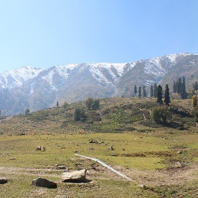 Energy__X's profile picture. Questioning Behavior || Building Biz