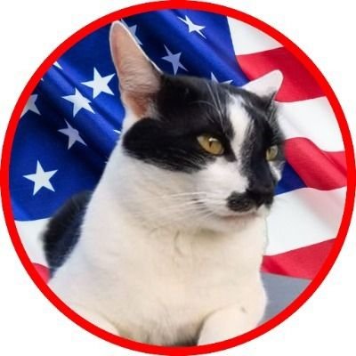 Pure🩸USAF Vet 🦅1A📢2A💥Small Business & Haz-Mat Retired Trucker 🛣 
5 Rescues 🐱🐱🐱😺😺
America First MAGA 
God Bless The USA 🙏 🇺🇸
🚫List-Azzholes🚫 No DM