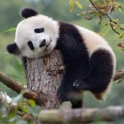 Monica_crviolin's profile picture. 