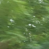 Benjamin (@ben4128433) 's Twitter Profile