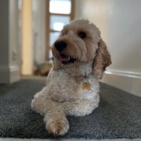 David (@86dmw) 's Twitter Profile