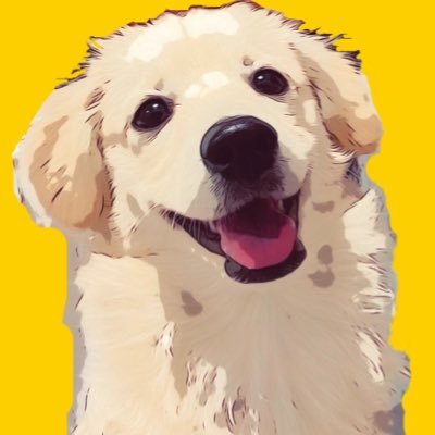 犬も人間も大好きなポメックスとろろ(1歳)と暮らしています。ドッグランでは全員に挨拶したいタイプの陽キャ犬。毎日風呂に入りたがって困っています。