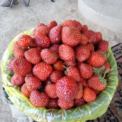 KlubnikKlu75530's profile picture. Живу