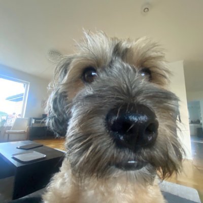 Skuggstorm's profile picture. 