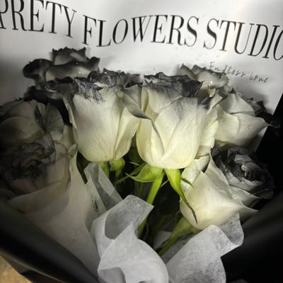 2552880887Liuyu's profile picture. 