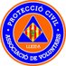 Voluntaris Protecció Civil Lleida (@avpclleida) Twitter profile photo