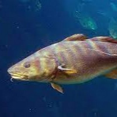 hi17497198's profile picture. 