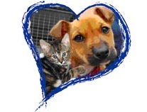 HC_Updates's profile picture. Heavenly Creatures is a non-profit, no-kill animal rescue organization.