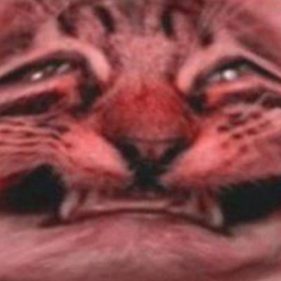 CACOBRO666's profile picture. back again I guess 🥴   ||   ENG.ESP   ||   deemons sloots with abs.
NO MINORS 🔞   ||   Adopts and YCHs, rarely comms.