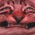 CACOBRO redux 🔞 (@cacobro666) Twitter profile photo CACOBRO redux 🔞 (@cacobro666) Twitter profile photo
