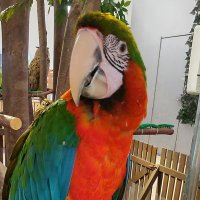 シクロM〜生き物大好き〜 (@cyclo02) 's Twitter Profile Photo