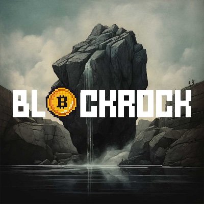 BlockRock https://t.co/KItvQfty98