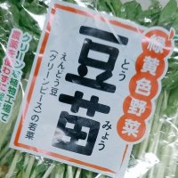 🗾きいやま🗻 (@jitan_wa_omochi) 's Twitter Profile Photo 🗾きいやま🗻 (@jitan_wa_omochi) 's Twitter Profile Photo