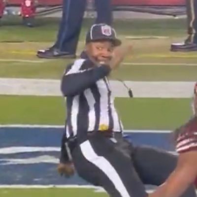 BadSportsRefs Profile Picture