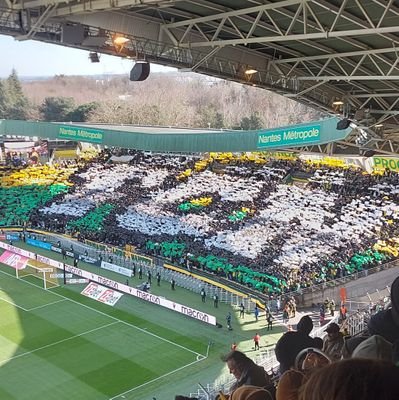 @FCNantes pour la vie💛💚💪#kitaout
Le FC Nantes est à VENDRE