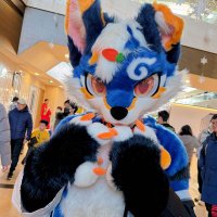 哔卟哔卟 (@ql_yuchi) 's Twitter Profile