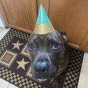 Cameron Mefford - @CMefford3360 - Twitter