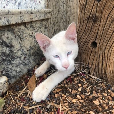 VanderleiDomi14's profile picture. 