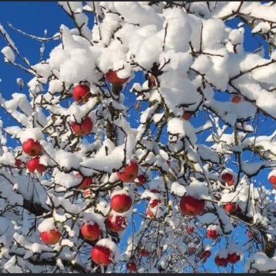 Fang153805's profile picture. 