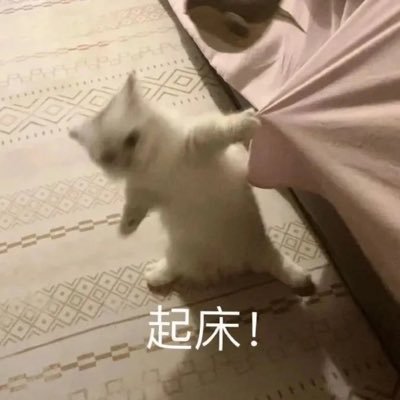 seaport_zel's profile picture. 