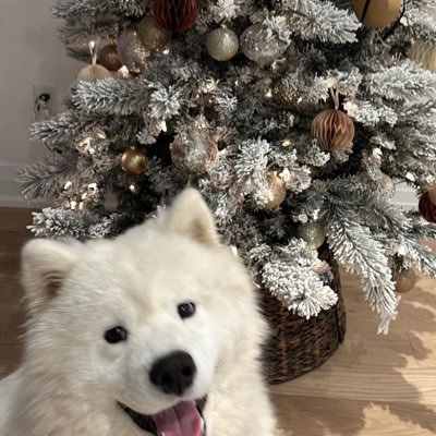 onyuily0218's profile picture. @wanbedjp