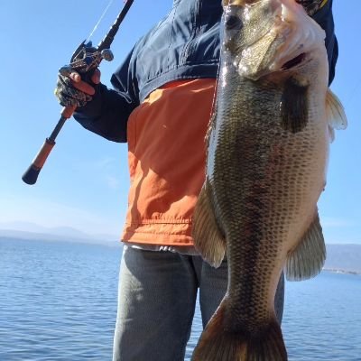 junall0859's profile picture. バス釣り大好き‼️
釣り好きな人と仲良くなりたいです😉
よろしくです
琵琶湖、ダム、野池等々で🎣してます