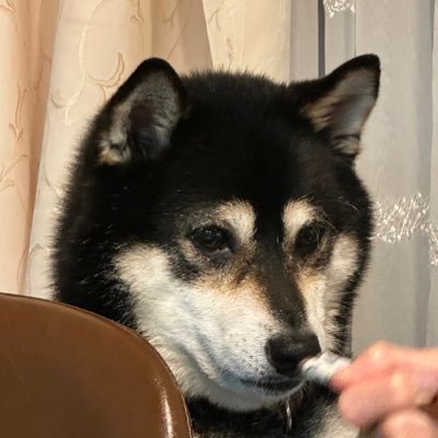 kagefn44's profile picture. 