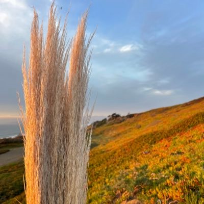 ArbuesMaxi's profile picture. 