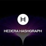 Focus: Hedera Network Ecosystem