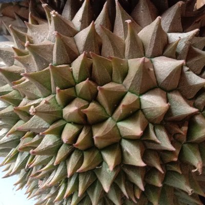 dika_dika23342's profile picture. F6QCJ6QZ