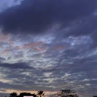 H🐾 (@haidysa19485575) Twitter profile photo