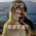 StevenD (@stevend1529494) Twitter profile photo StevenD (@stevend1529494) Twitter profile photo